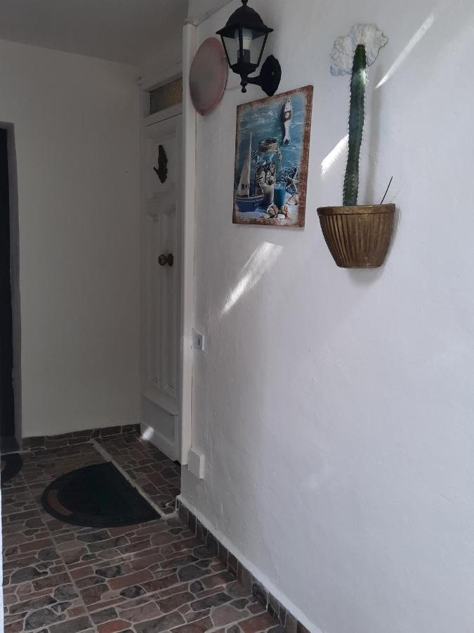 ムルタ・マリアCasa Delfinoアパートメント エクステリア 写真